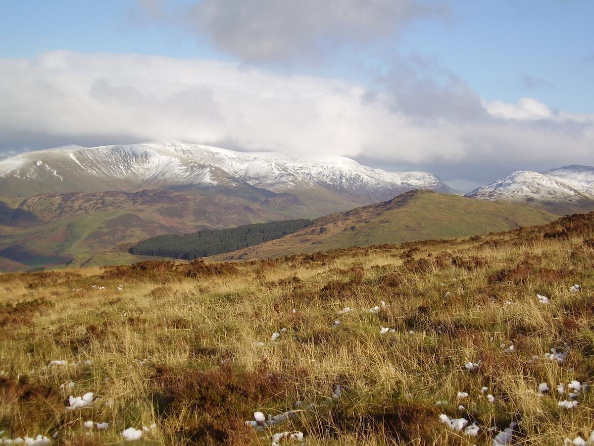 Bed and Breakfast The Dolgoch Bryn-crug Екстер'єр фото