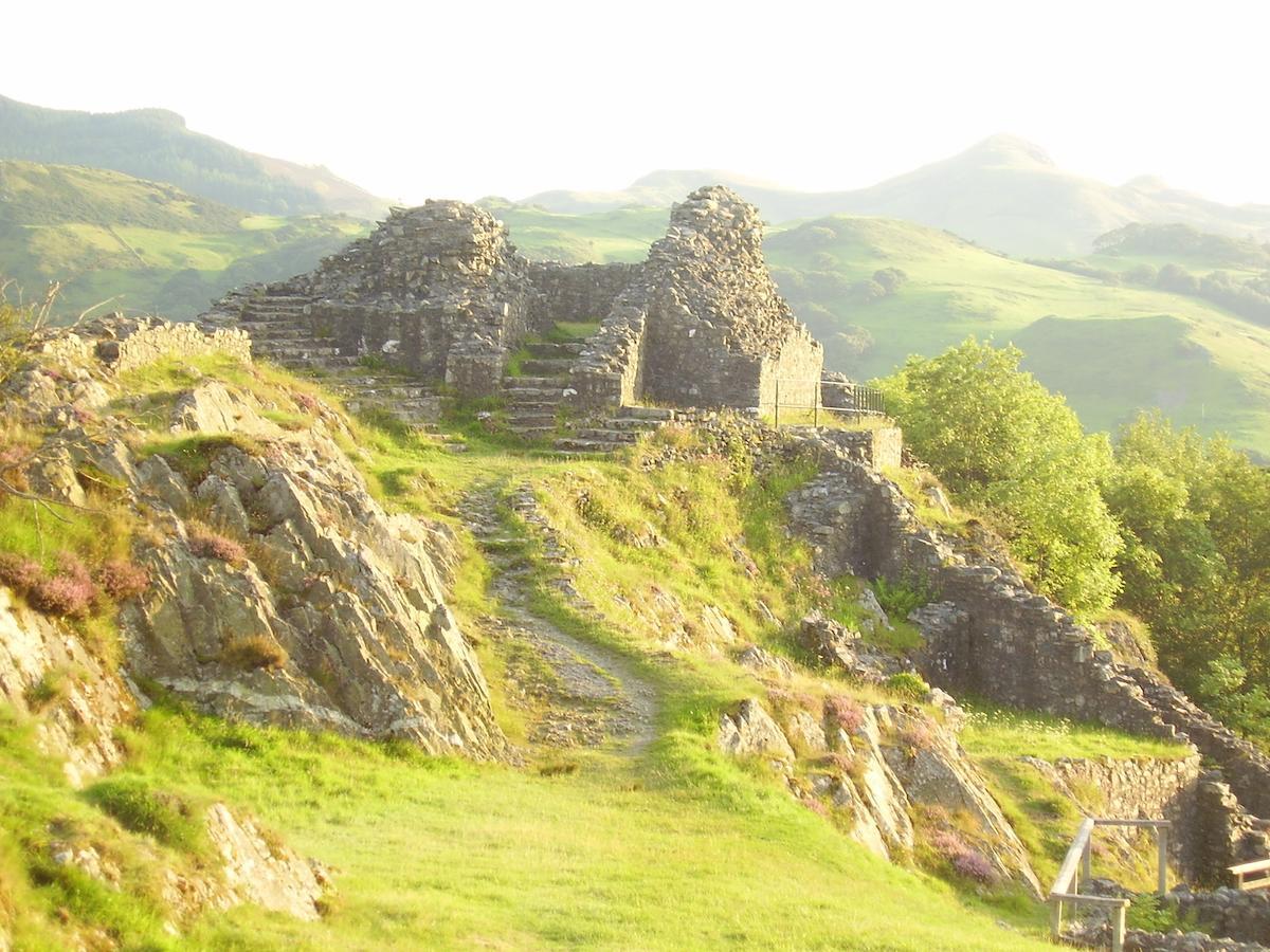 Bed and Breakfast The Dolgoch Bryn-crug Екстер'єр фото