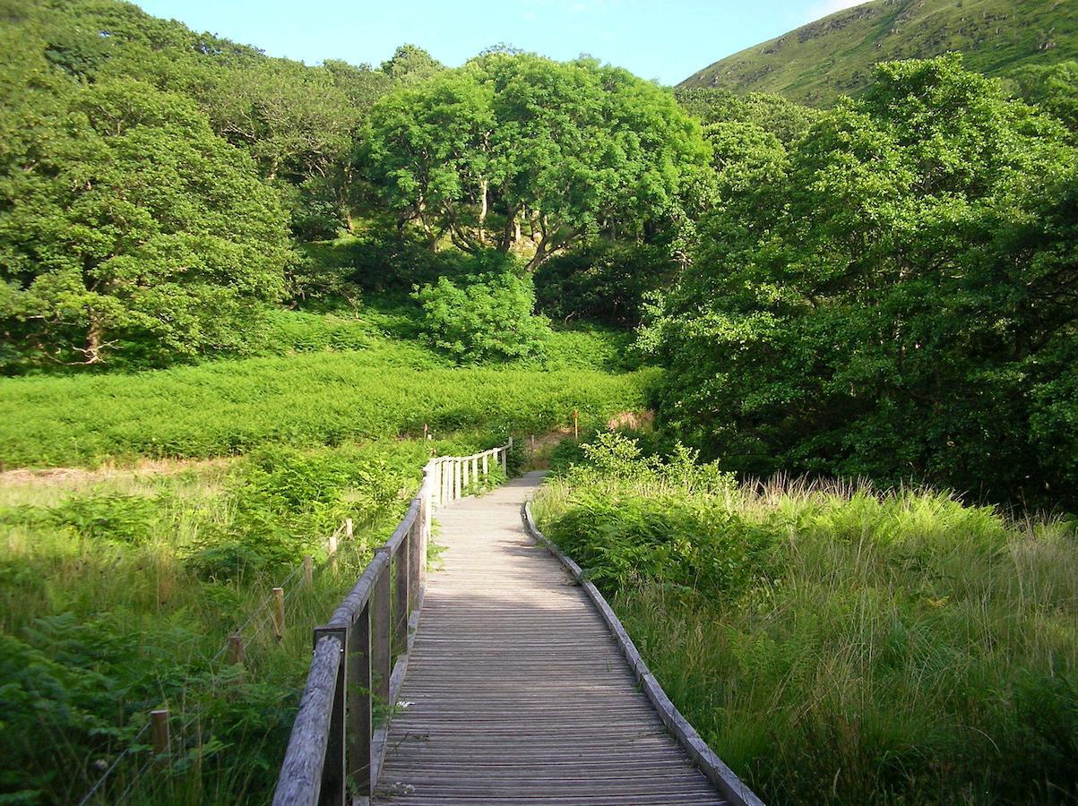 Bed and Breakfast The Dolgoch Bryn-crug Екстер'єр фото